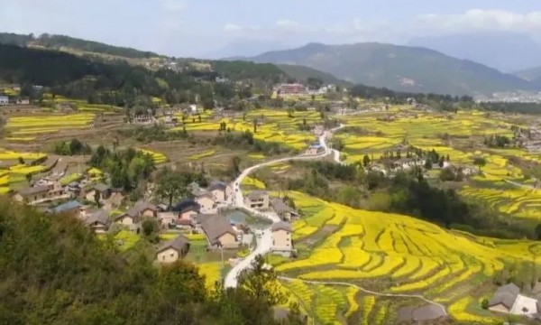 我国生态资源介绍