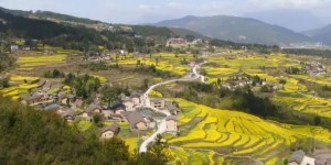 我国生态资源介绍