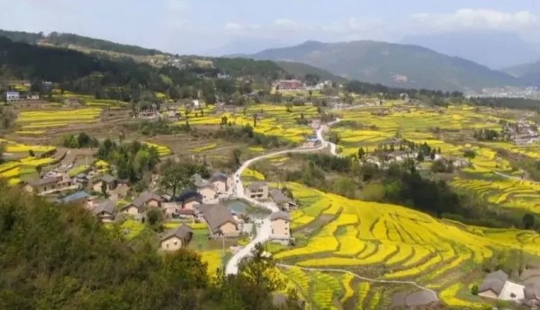 我国生态资源介绍